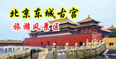 东北老女人被操的大声喊逼痒死了对话精彩真过瘾中国北京-东城古宫旅游风景区